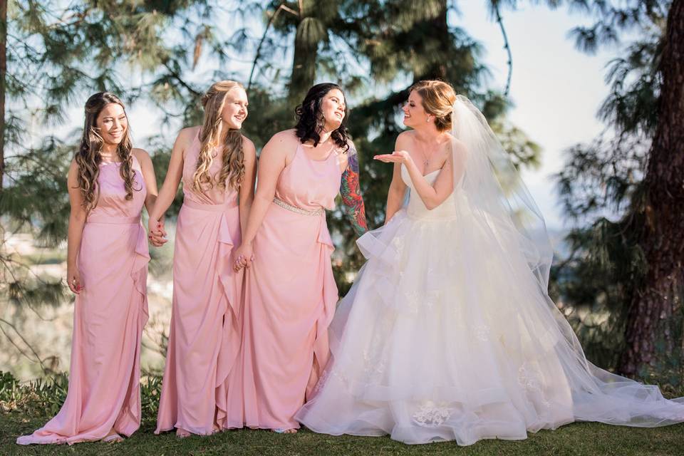 Introducing the bridesmaids