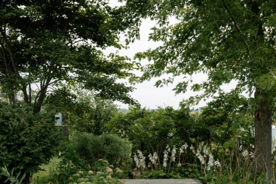 Grounds