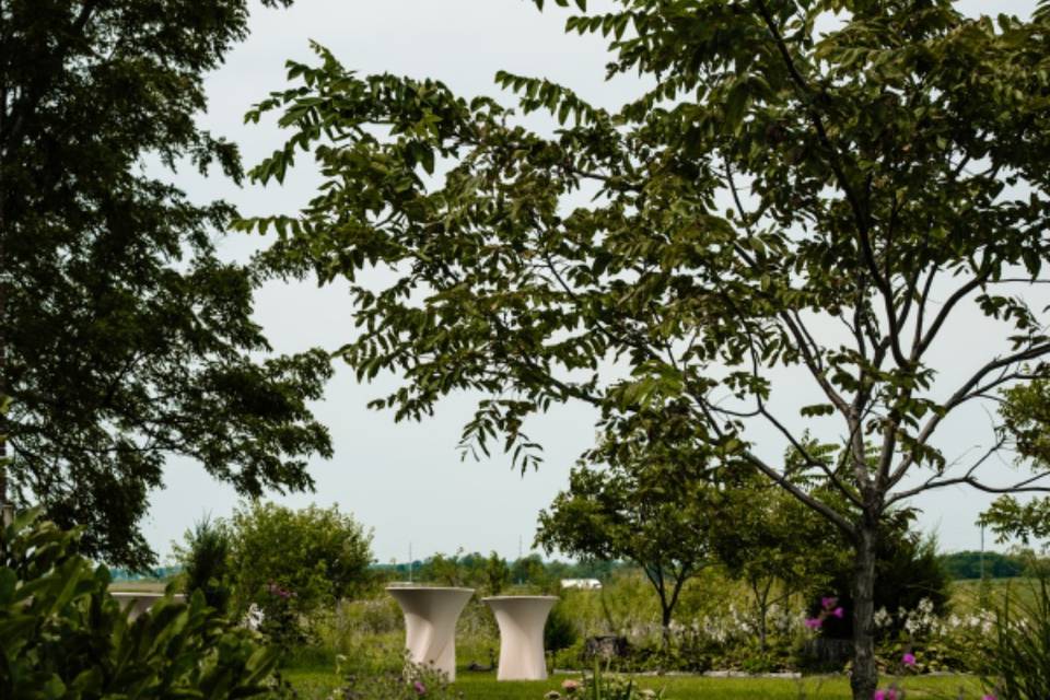 Grounds