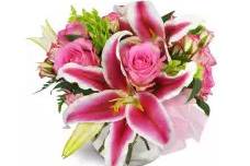 Decoration