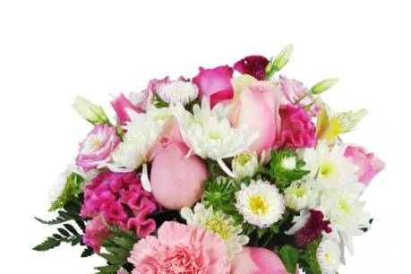 All Occasions Flowers