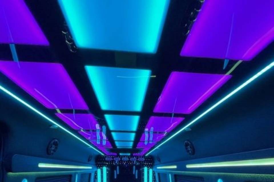 Sprinter Party Bus