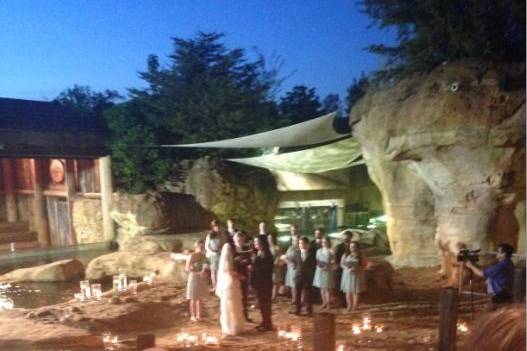 Zoo Wedding