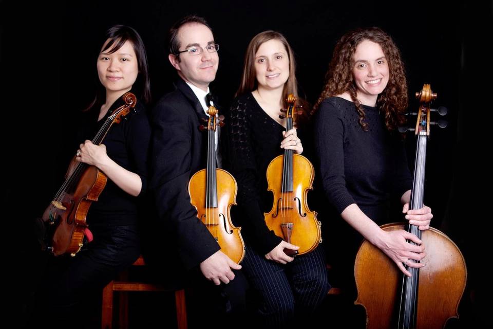 Lucchi String Quartet