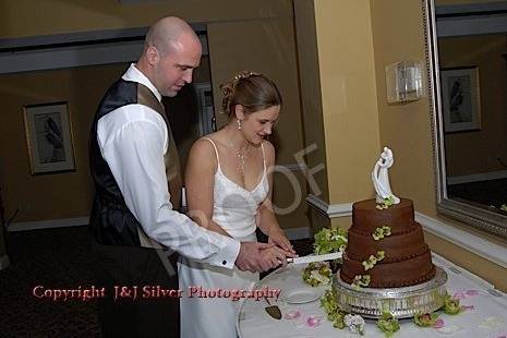 Jennifer and Dustin Cutting their wedding cake at Calawassie Island.