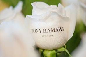 Tony Hamawy
