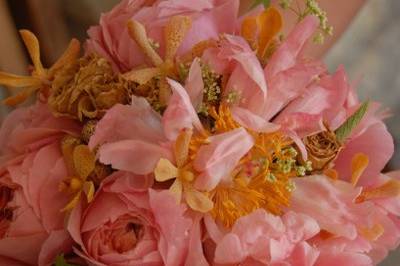 Bride's bouquet of coral peonies and garden roses, golden orange mokara orchids, Queen Anne's lace, sage leaves, hanging green amaranth, and dried cream spray roses.