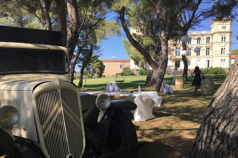 Vintage truck vinyard France