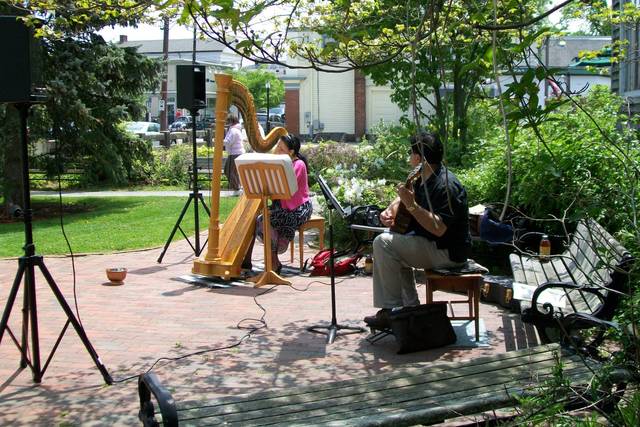 Rhode Island Harpist