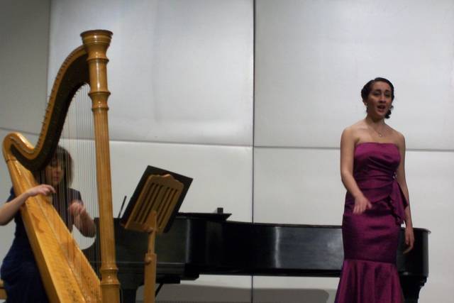 Rhode Island Harpist