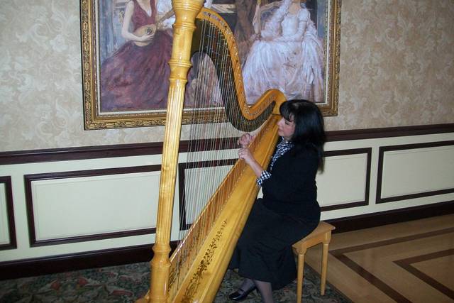 Rhode Island Harpist