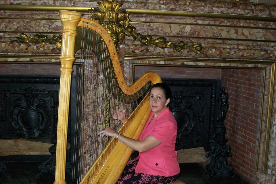Rhode Island Harpist