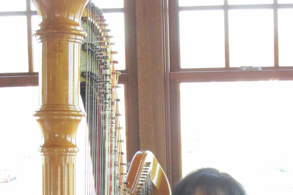 Rhode Island Harpist