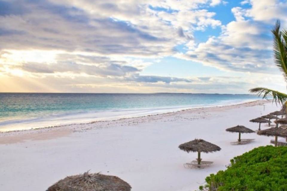 Pink Sands Beach & Thatched Umbrellas.jpg