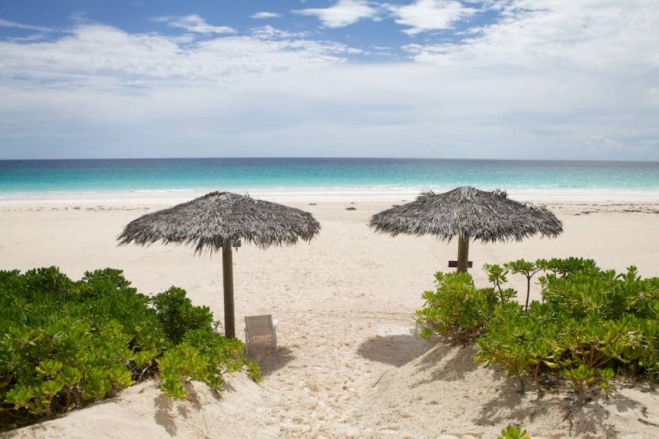 Pink Sands Beach Thatched Umbrellas.jpg
