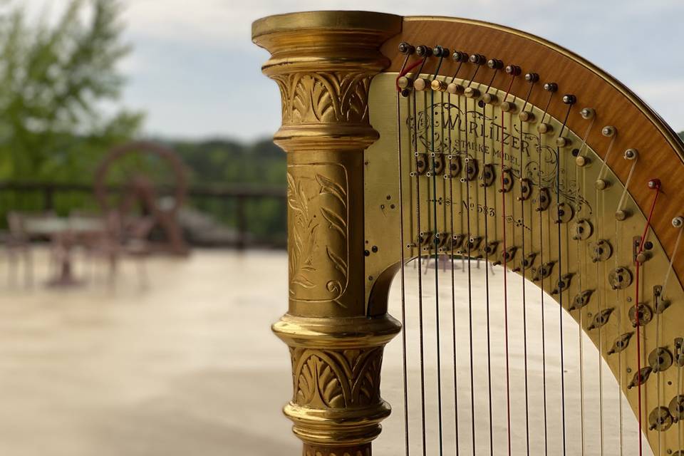 Ashlyn Riley Harpist