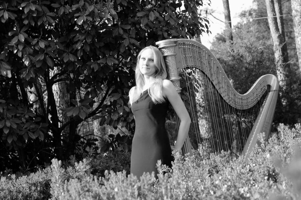 Ashlyn Riley Harpist