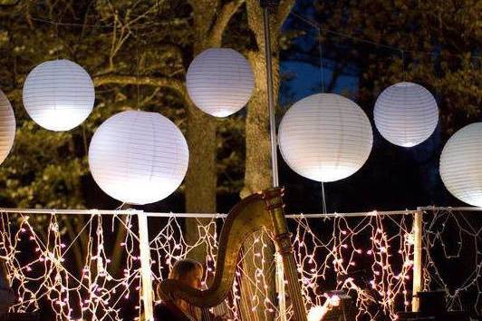 Ashlyn Riley Harpist