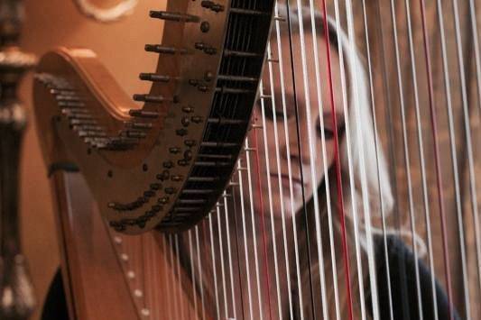 Ashlyn Riley Harpist