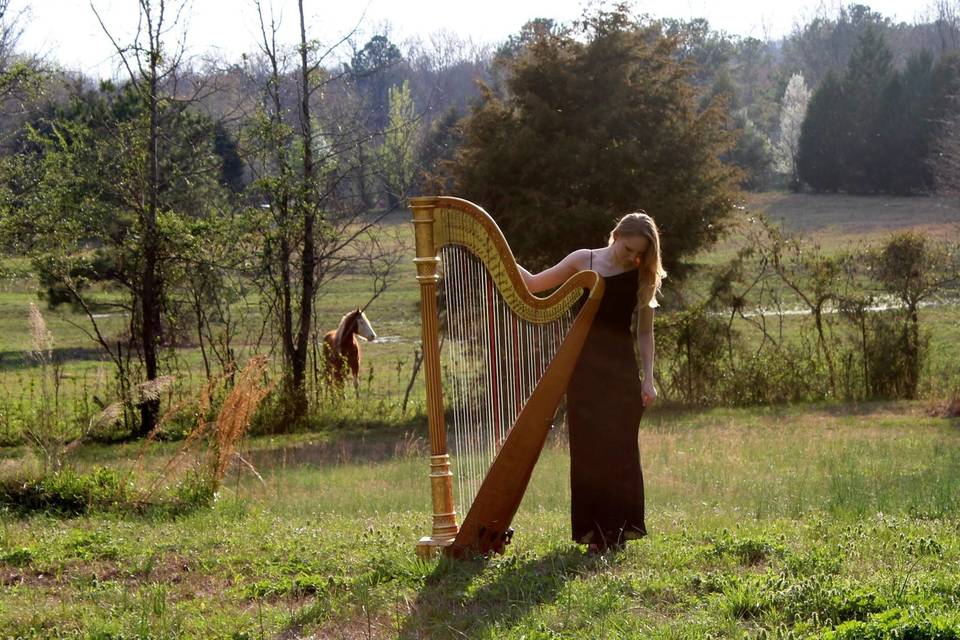 Ashlyn Riley Harpist