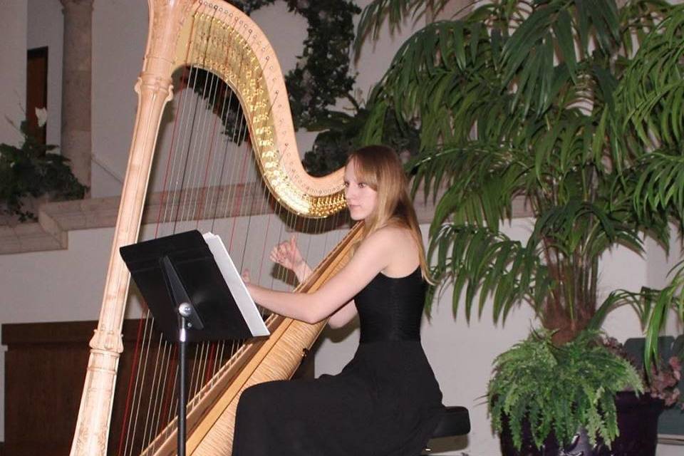 Ashlyn Riley Harpist