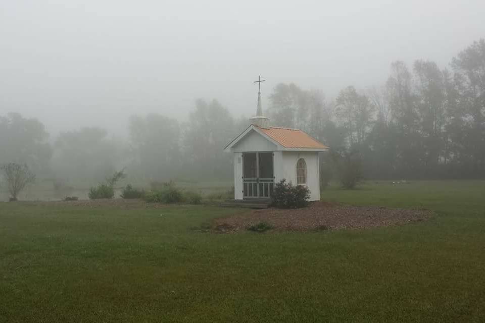 Fog at the venue grounds