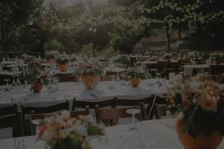 Aspen Rose Events