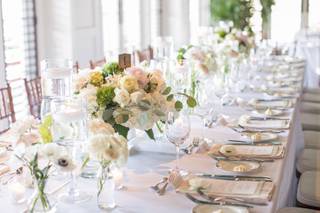 Marie Nicole Weddings and Elopements
