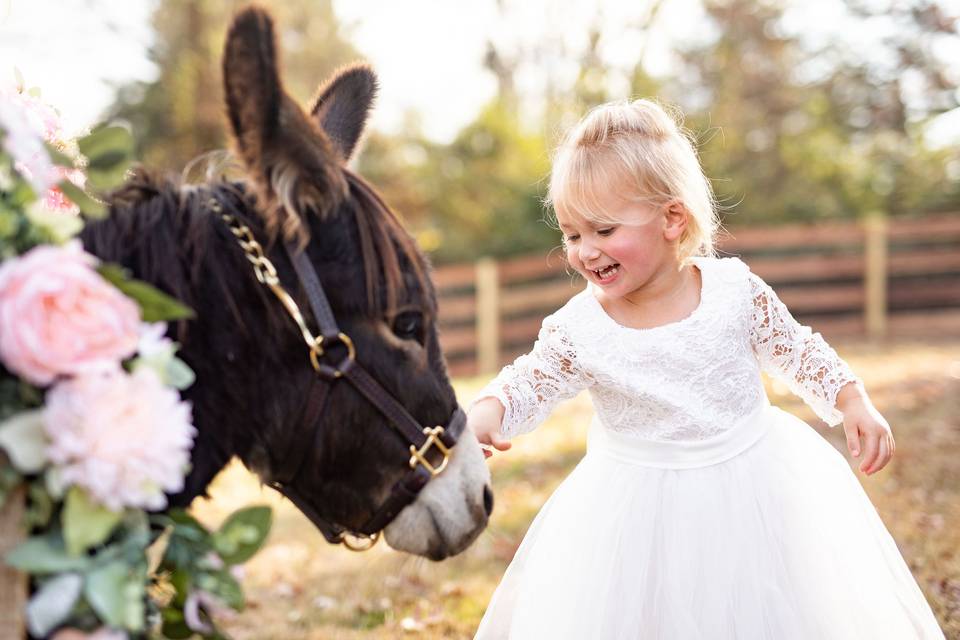 Mini donkey and flower girl