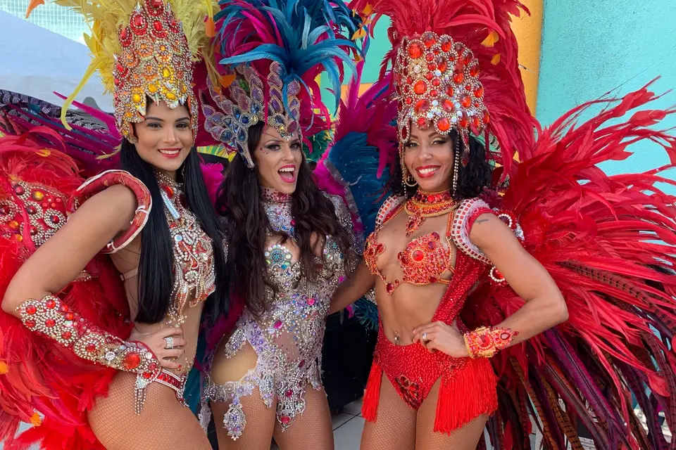 Spirit of Samba: Carnival sets Rio alight as dancers take to the