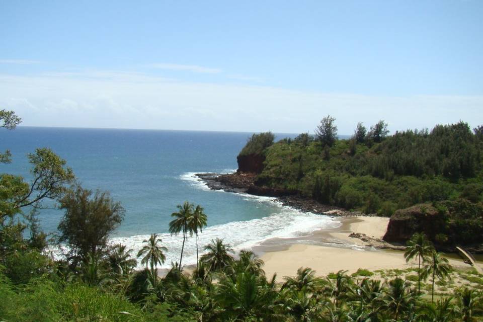 Grand Hyatt Kauai - one of my favorite resorts in all of Hawaii Email me to learn moreLinda@honeymoonsinc.com