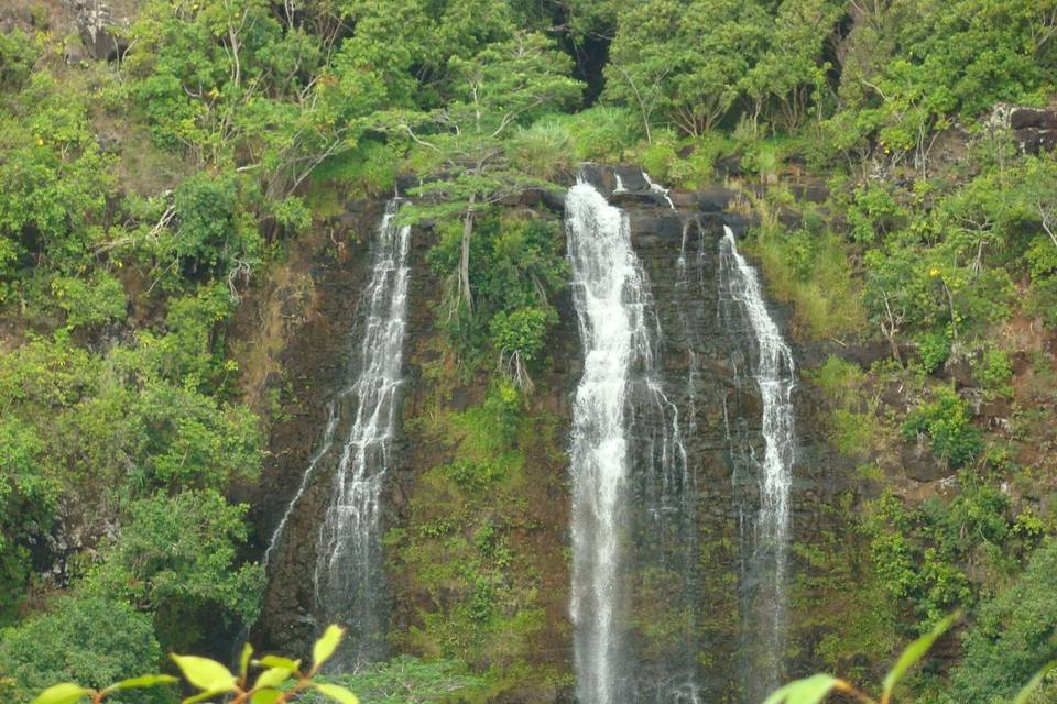 Opaeka'a FallsFlows year round into a hidden poolOpaeka'a means 