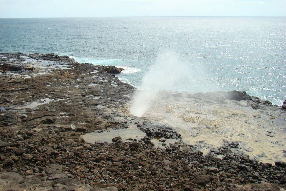 Spouting Horn The Poipu surf channels into a natural lava tube and releases a spout of water -sometimes as high as 60 feet into the airPart of the Koloa Heritage Trail
