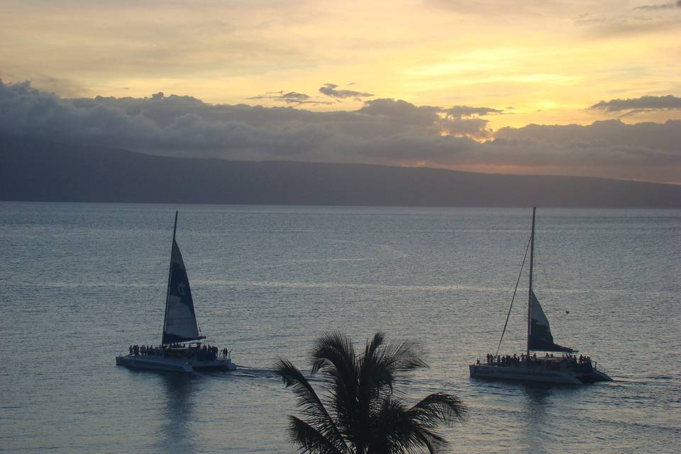 Maui - beautiful below the surface