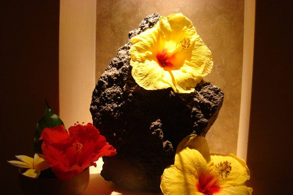 Turtle Pointe Fairmont Orchid Resort Hawai'i Island