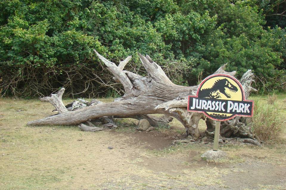 Kualoa Ranch - popular film locale and movie set toursRanch has many activities such as horseback riding,ATV Tours,Weddings,ancient Hawiian fishpond,Macadamia Nut Farm   www.kualoa.com