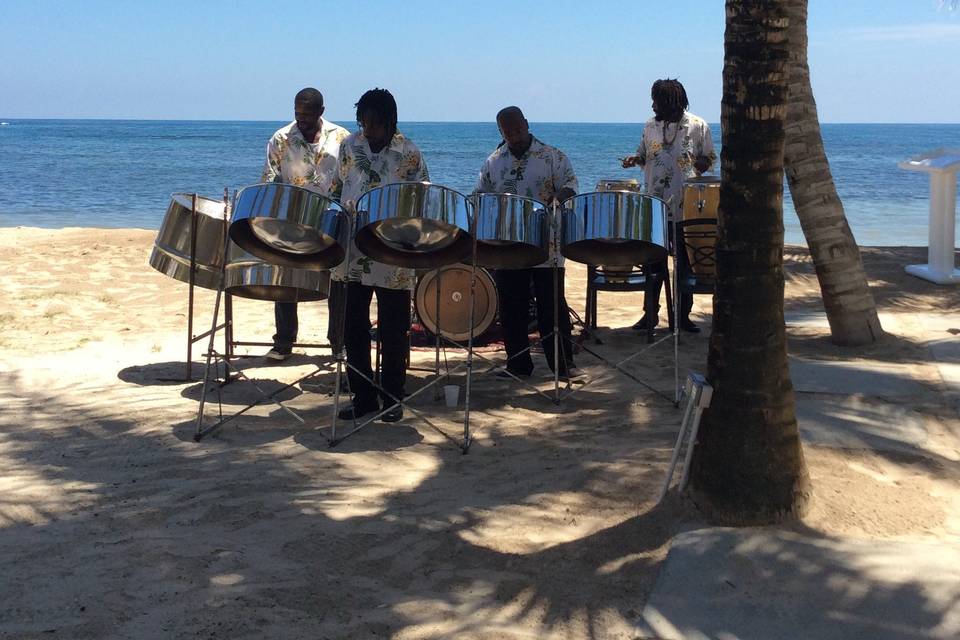 Steel drum band for weddings