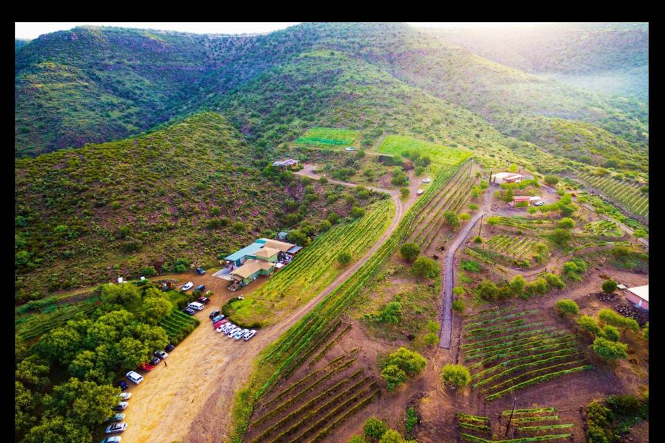 Javelina Leap Vineyard, Winery & Bistro