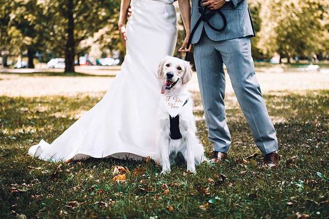 Bride & Groom with Dog