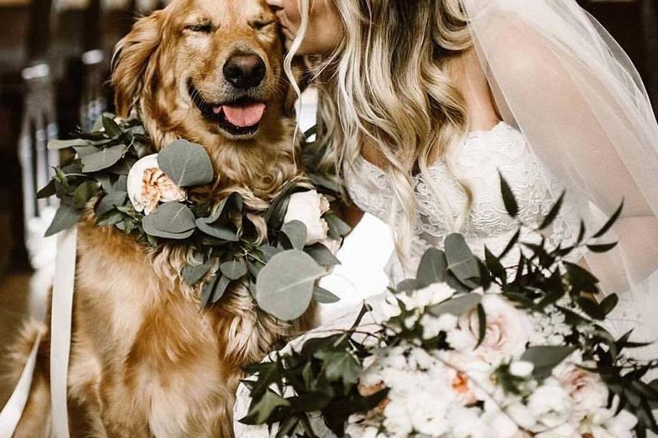 Bride Kissing Dog