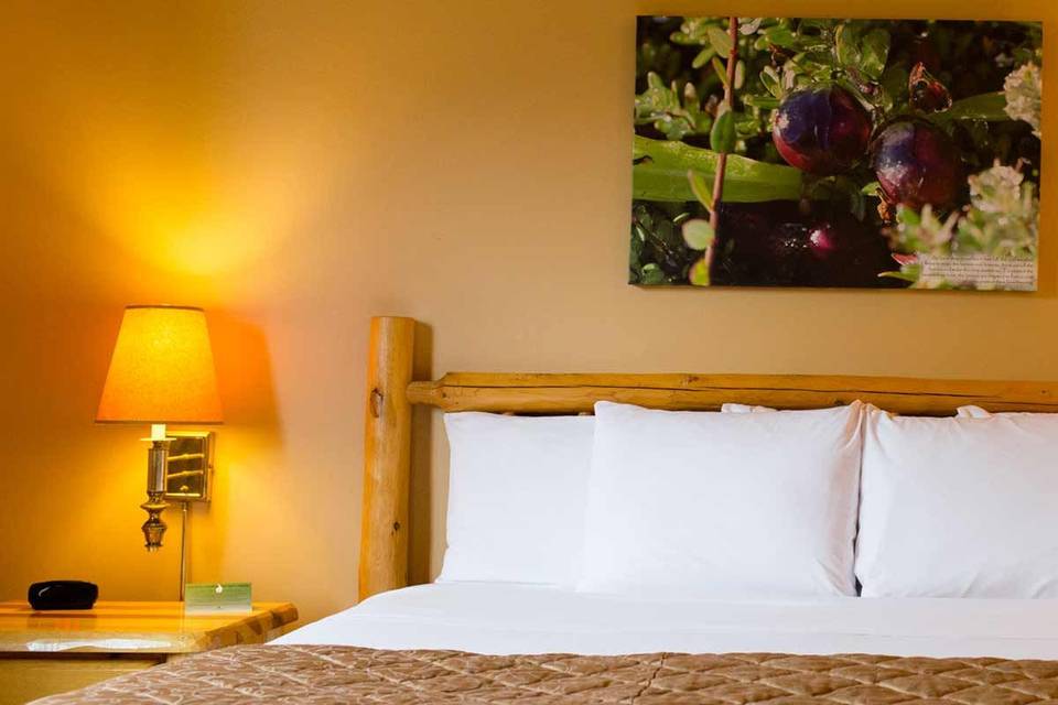 Cranberry County Lodge