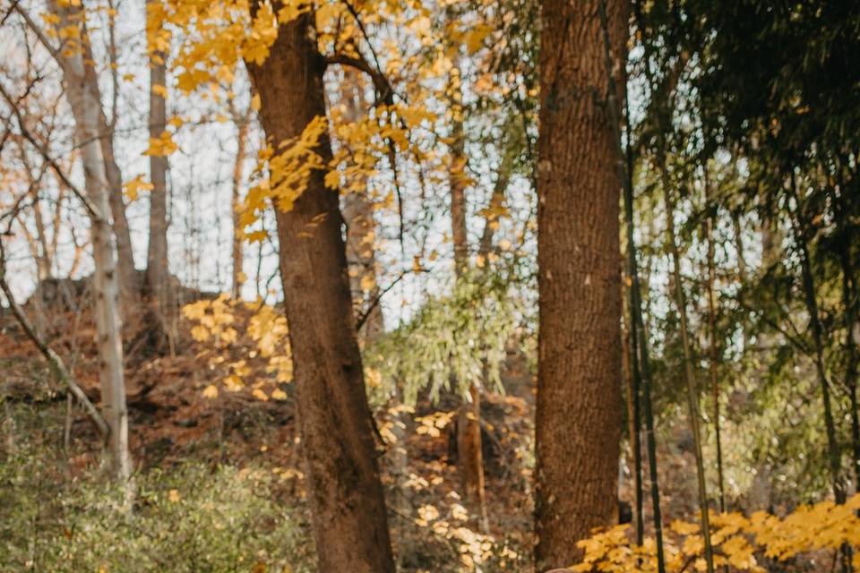 Denise Marie Photography