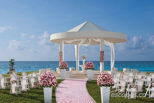 Pink aisle runner and beach wedding setup