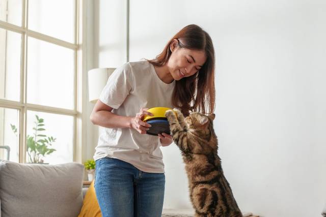 Furever Friends Pet Care LLC