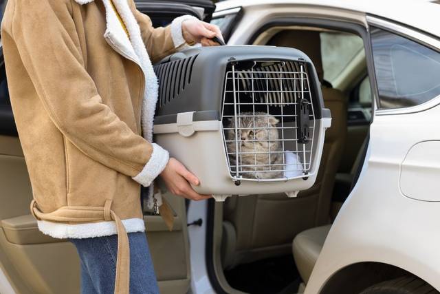 Furever Friends Pet Care LLC