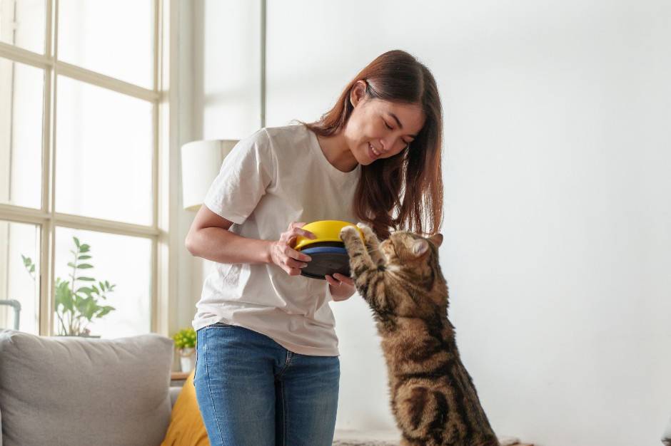 Furever Friends Pet Care LLC