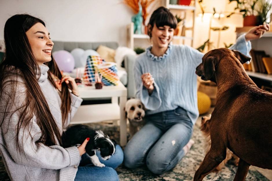 Furever Friends Pet Care LLC