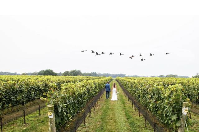 Winery Weddings