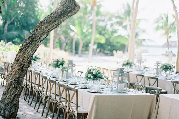 Outdoor long table setup