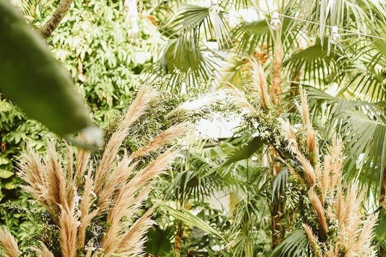 Pampas Grass Arch